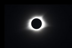 Corona-3